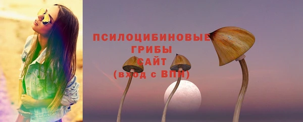 а пвп мука Алексин