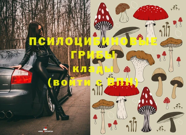 ПСИЛОЦИБИНОВЫЕ ГРИБЫ Алексеевка