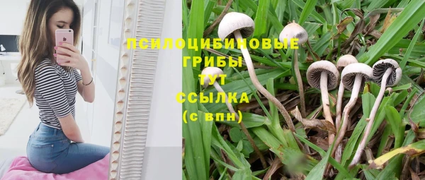 кокс Алзамай
