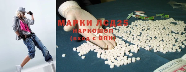 ПСИЛОЦИБИНОВЫЕ ГРИБЫ Алексеевка