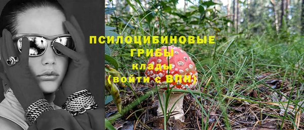 ПСИЛОЦИБИНОВЫЕ ГРИБЫ Алексеевка