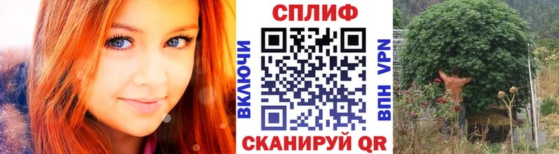 Бошки марихуана ГИДРОПОН  купить  сайты  Анжеро-Судженск 